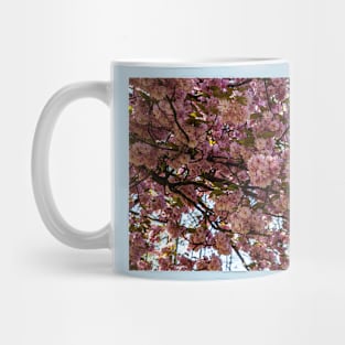 cherry blossoms Mug